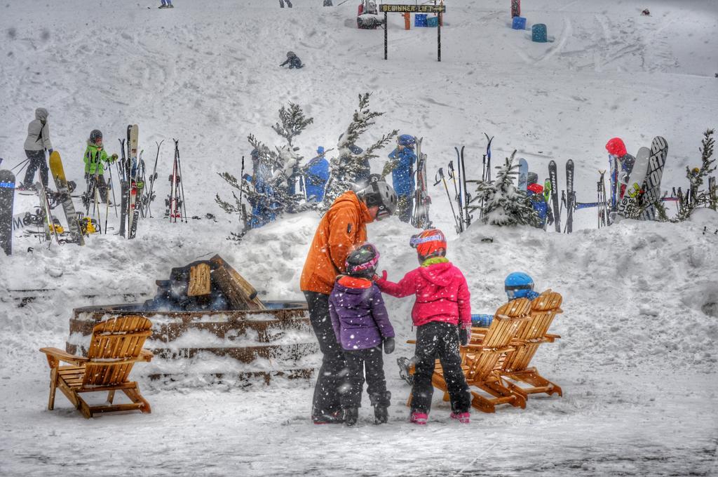 Canaan Valley Resort State Park デイビス エクステリア 写真