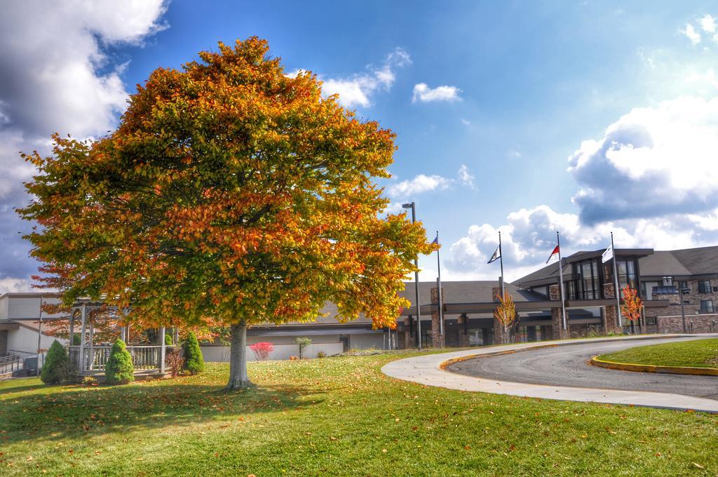 Canaan Valley Resort State Park デイビス エクステリア 写真