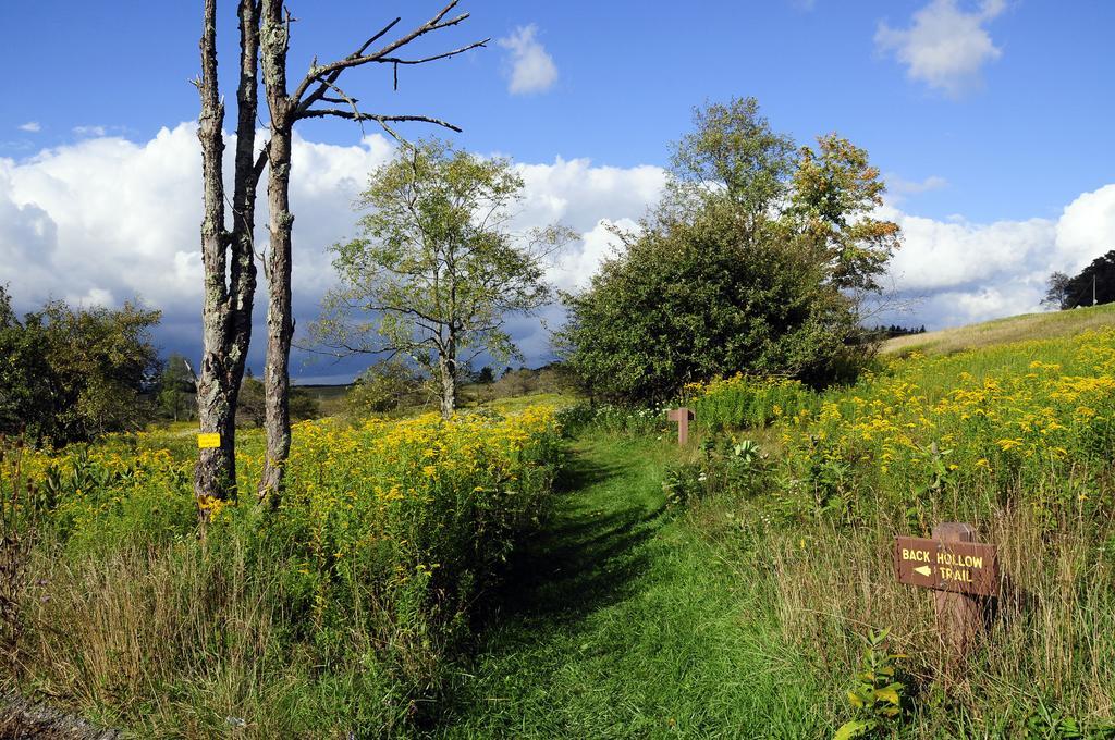 Canaan Valley Resort State Park デイビス エクステリア 写真