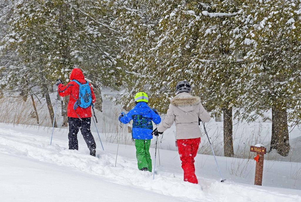 Canaan Valley Resort State Park デイビス エクステリア 写真