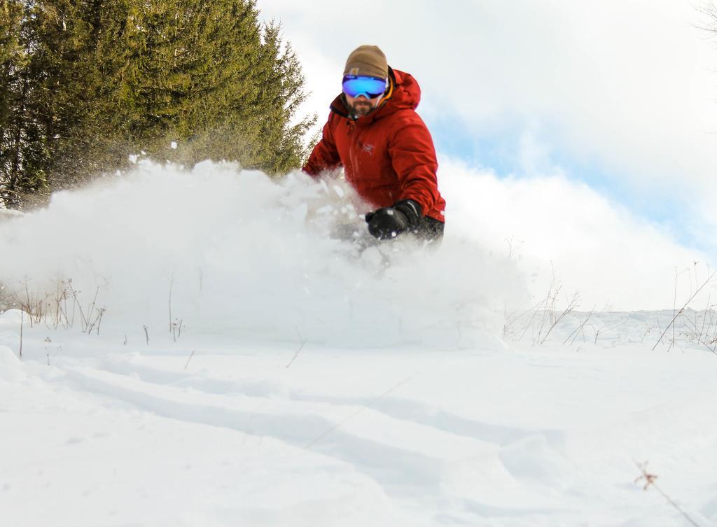 Canaan Valley Resort State Park デイビス エクステリア 写真