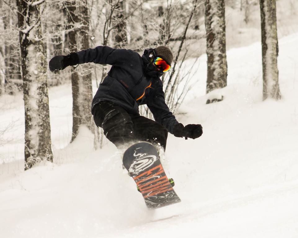 Canaan Valley Resort State Park デイビス エクステリア 写真
