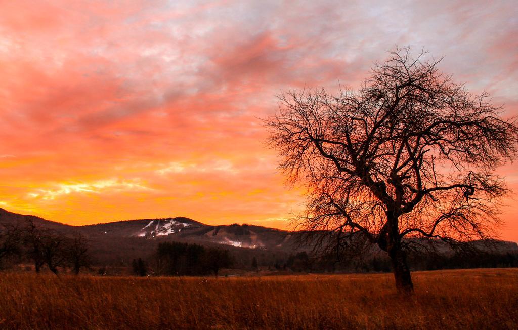 Canaan Valley Resort State Park デイビス エクステリア 写真