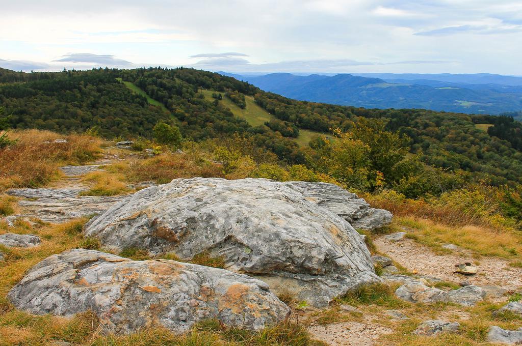 Canaan Valley Resort State Park デイビス エクステリア 写真