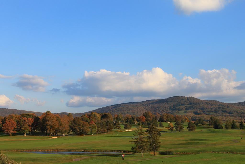 Canaan Valley Resort State Park デイビス エクステリア 写真