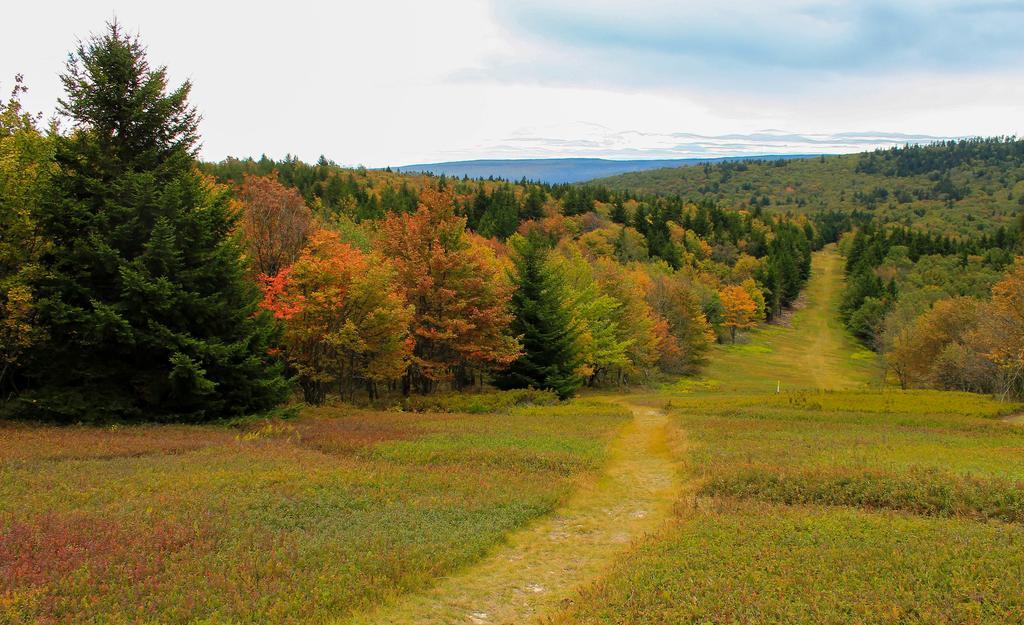 Canaan Valley Resort State Park デイビス エクステリア 写真