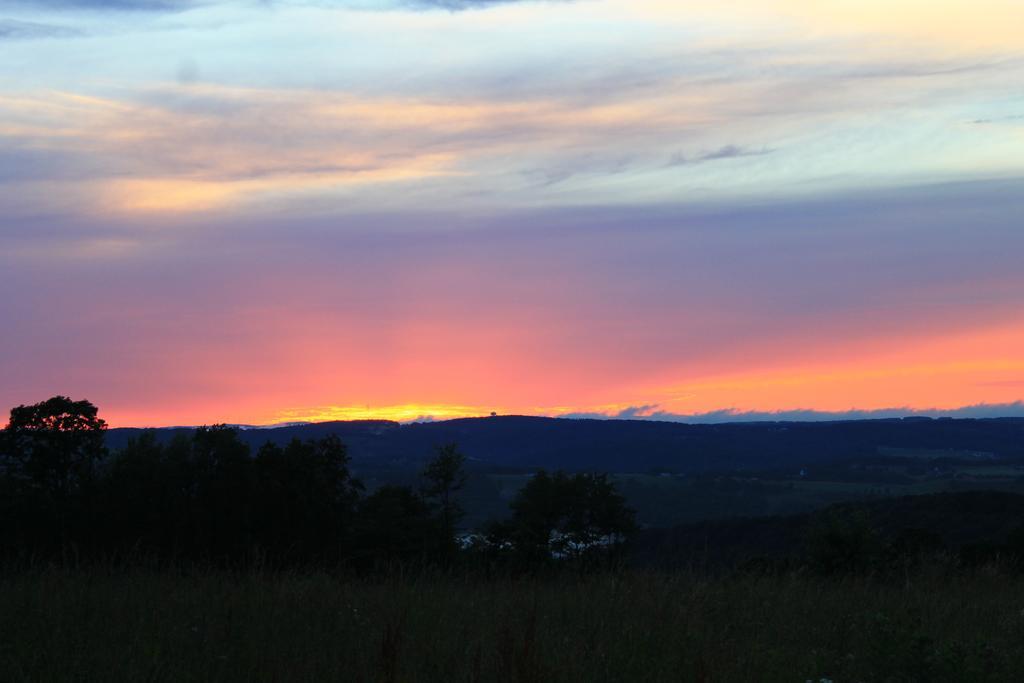 Canaan Valley Resort State Park デイビス エクステリア 写真