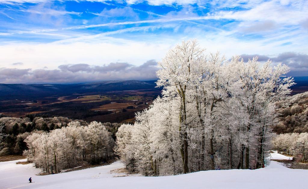 Canaan Valley Resort State Park デイビス エクステリア 写真
