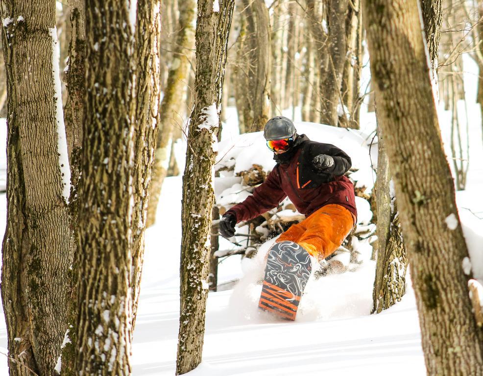 Canaan Valley Resort State Park デイビス エクステリア 写真