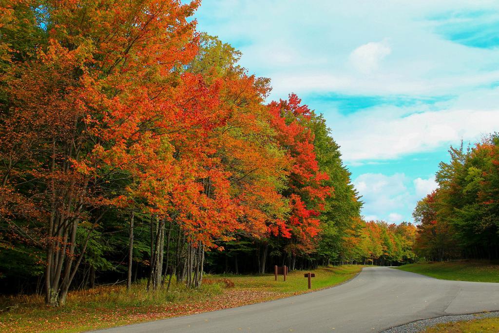Canaan Valley Resort State Park デイビス エクステリア 写真