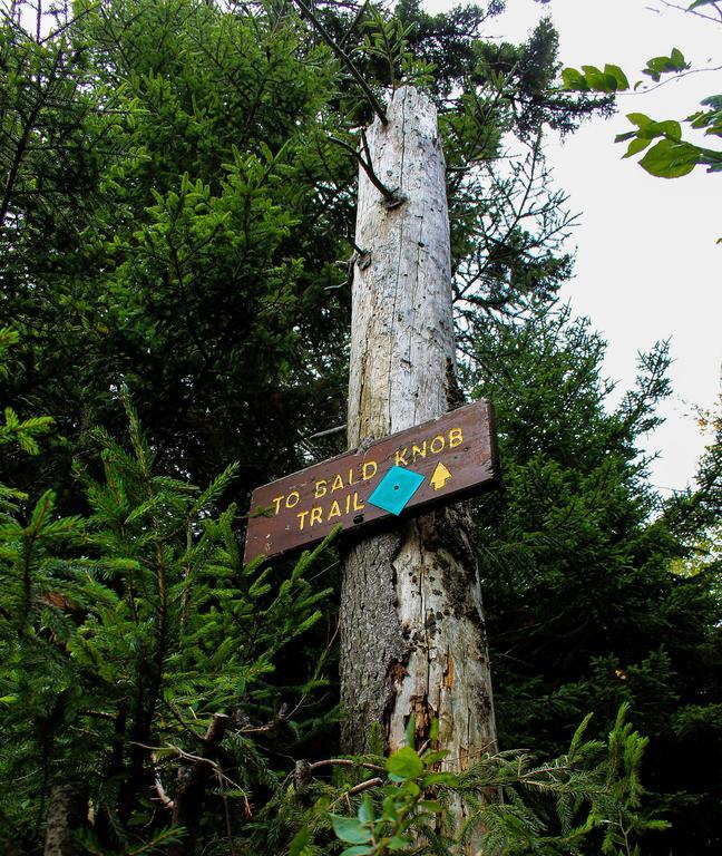 Canaan Valley Resort State Park デイビス エクステリア 写真