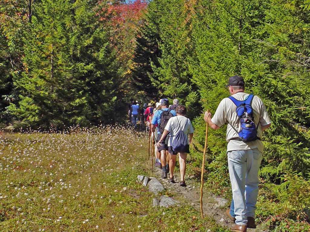 Canaan Valley Resort State Park デイビス エクステリア 写真