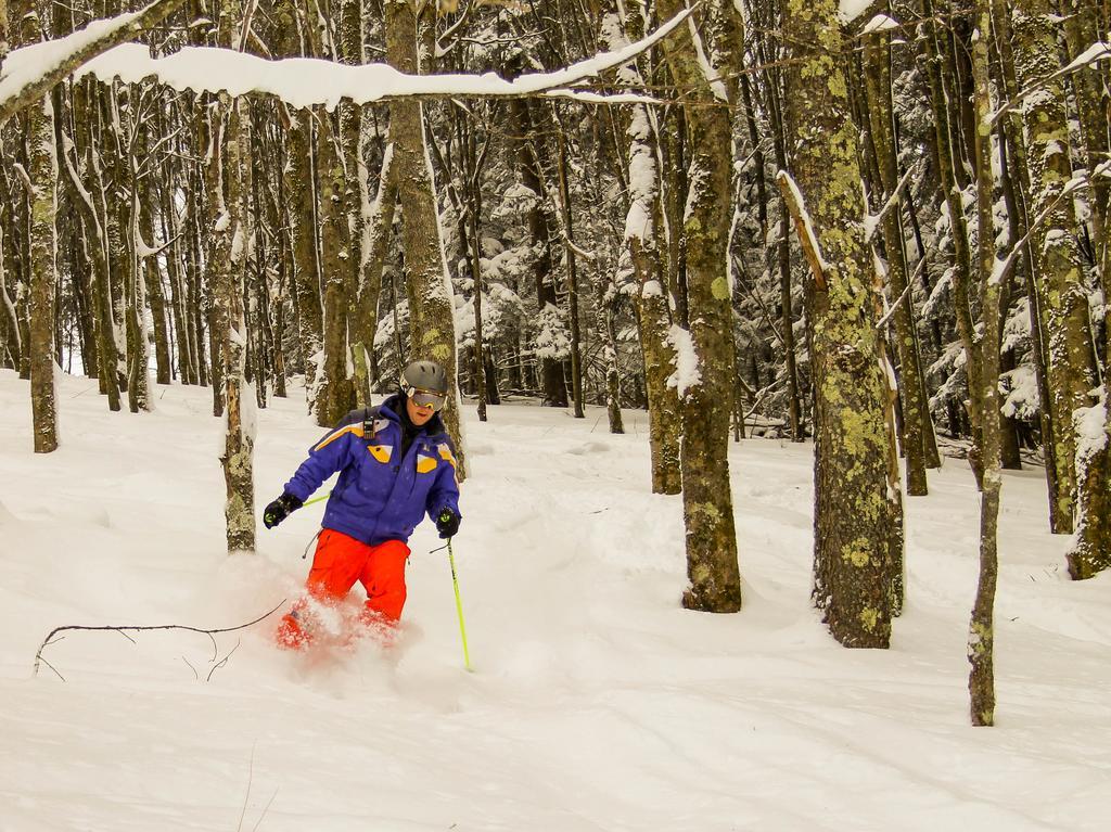 Canaan Valley Resort State Park デイビス エクステリア 写真